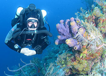 Rebreather diver in clear-water conditions